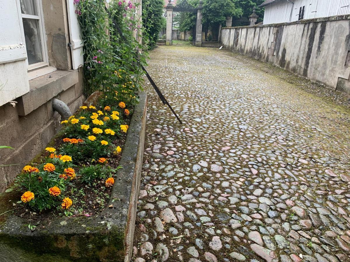 Les Jardins D'élise, Calme Et Verdure à Lure *
