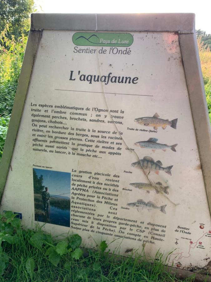 Les Jardins D'élise, Calme Et Verdure à Lure * Lure (Haute-Saone)