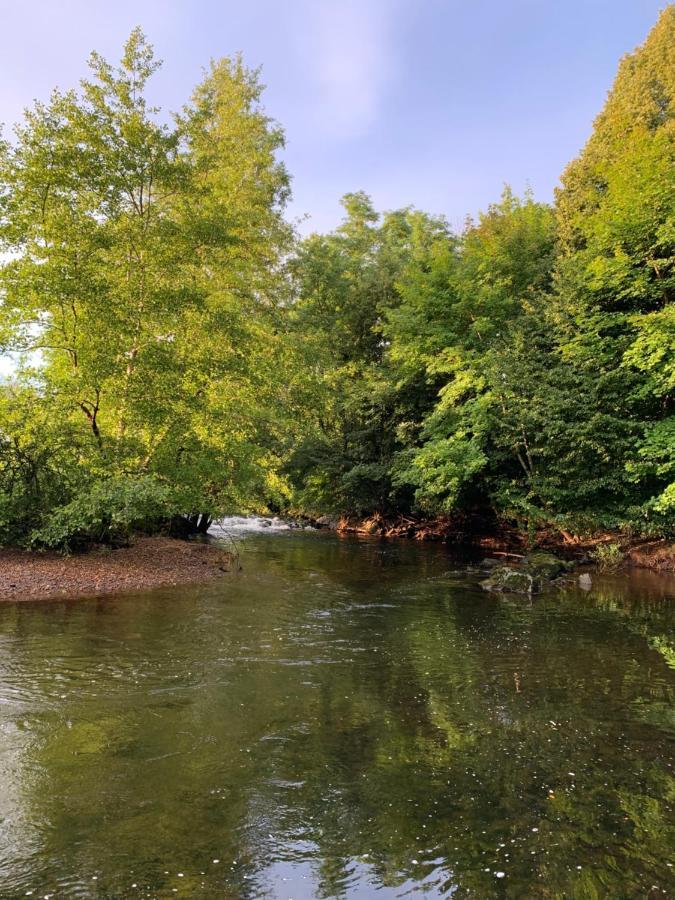 Les Jardins D'elise, Calme Et Verdure A Lure *